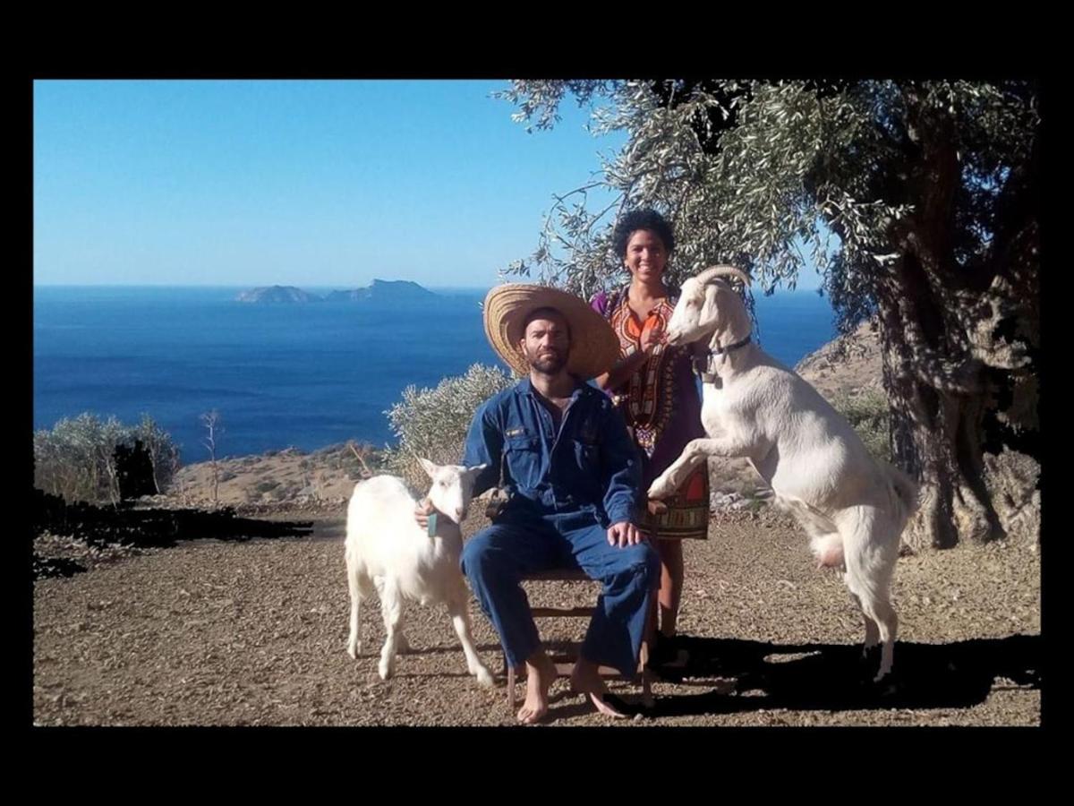 Sea Breeze Ecological Villa Agia Galini  Luaran gambar