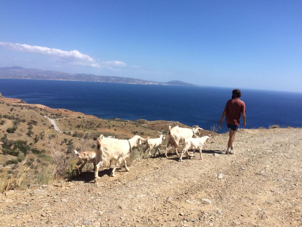 Sea Breeze Ecological Villa Agia Galini  Luaran gambar