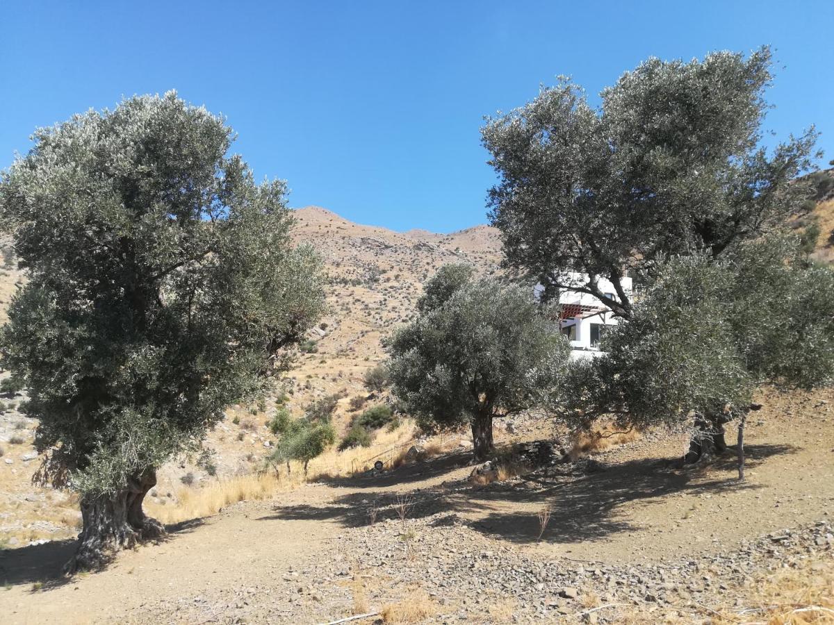 Sea Breeze Ecological Villa Agia Galini  Luaran gambar