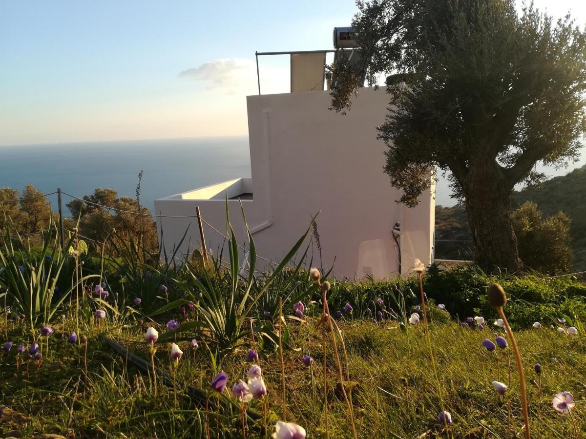 Sea Breeze Ecological Villa Agia Galini  Luaran gambar